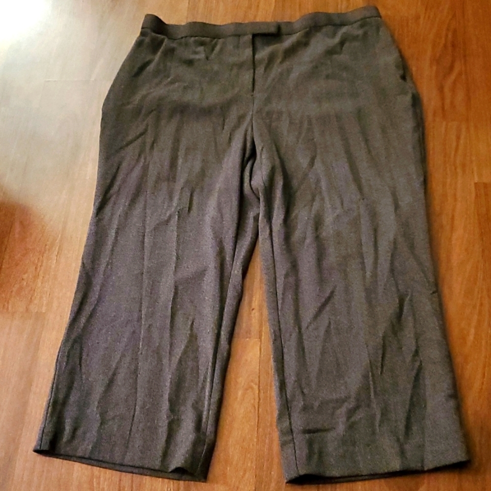 Sag Harbor Stretch Woman Plus Size Brown Dress Pants - Size 22W